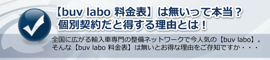 【buv labo 料金表】は無いって本当？個別契約だと得する理由！